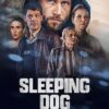 Sleeping Dog-Saison-1-VF-Serie-en-Streaming-100-gratuit-sur-primeserie.fr-Netflix